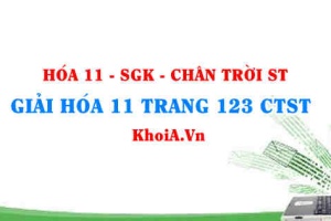 Giải Hóa 11 Chân trời Sáng tạo trang 123
